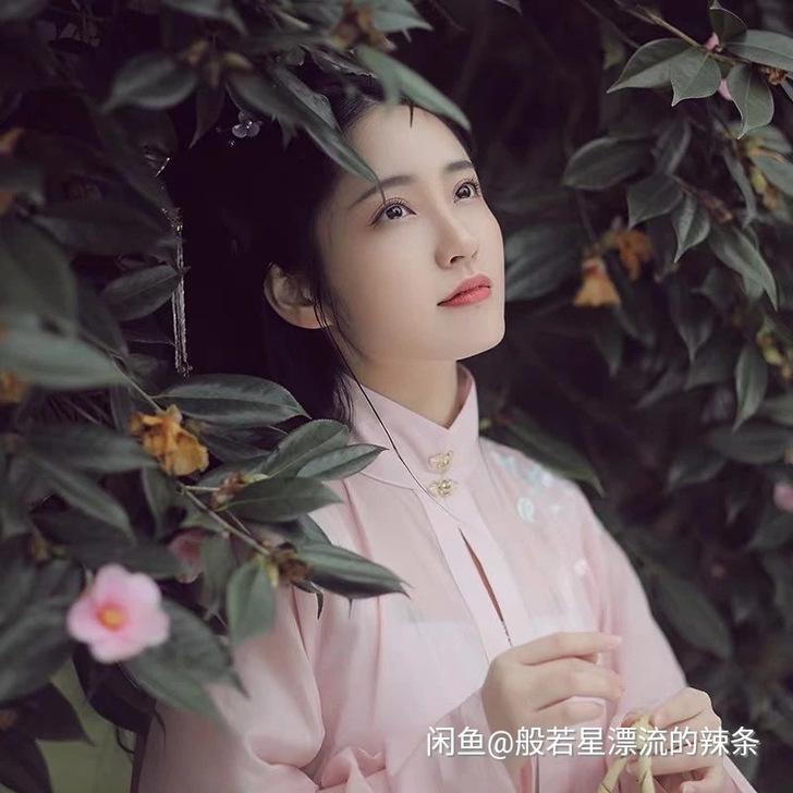 钟灵记雨檀