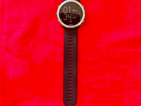 Garmin佳明Forerunner 64...