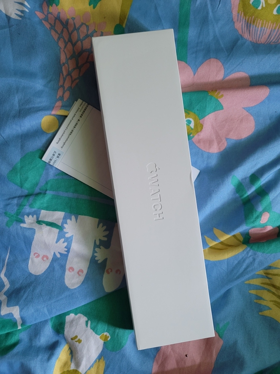 Apple Watch 40mm 6代藍色