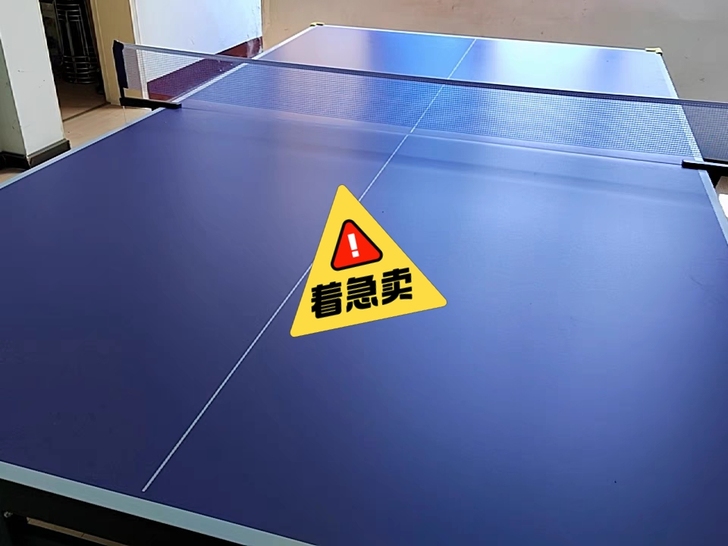 球馆不开了，赔本处理几张折叠室内室外标准乒...