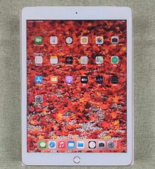 iPadmini4 128g wifi。买...