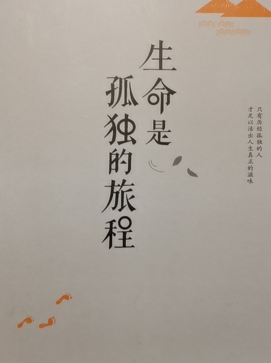 生命是孤独的旅行
