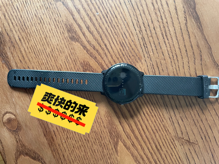 佳明(GARMIN) vivoactive...