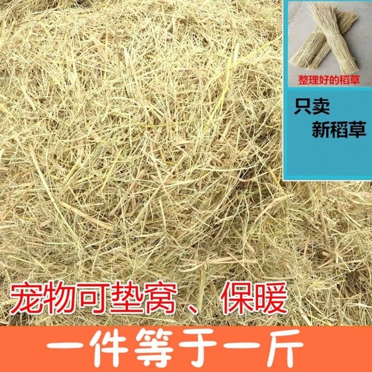 宠物垫窝稻草兔子荷兰猪保暖干稻草小宠可食用...