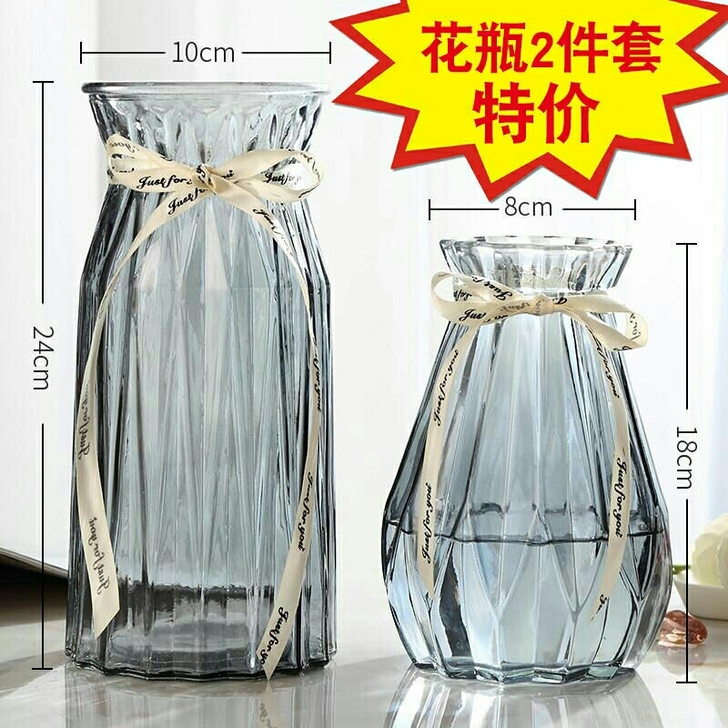 全新 创意花瓶玻璃透明水养客厅摆件鲜花插花...