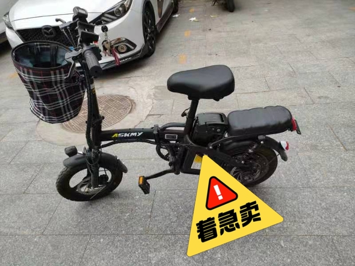 (恩斯迈)48v,15安的电池,可以续航4...