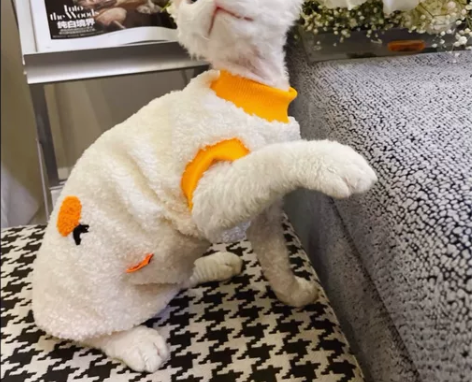 猫狗宠物服装纸样制版图,非纸质,共200款...