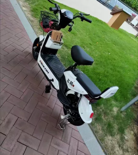 飞鸽电动车官方买的绝对正品，十月份买的买来...