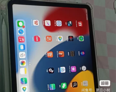 家里平常自己用的iPad Air4 256...
