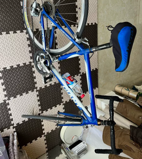 捷安特公路自行车,windmark2200...