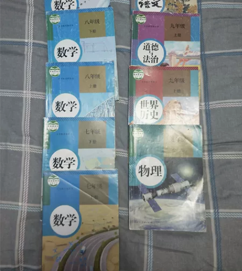 初中教科书数学，语文，物理，政治，历史 感...