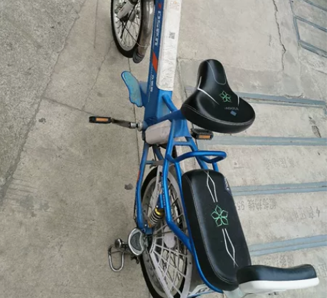 众德森电动车,电池不怎么行了,卖车架,实物...
