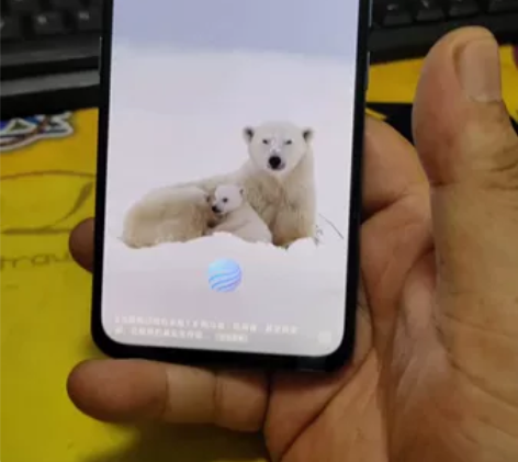 vivoNEX2双屏版 10+128 游戏...