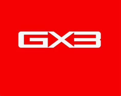 GX3 男款短裤 s-m尺码 价格20-5...