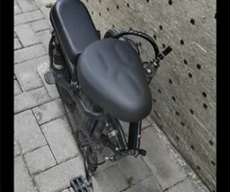 两块电瓶一个车,英国技术普莱德 新国标折叠...