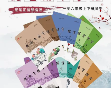 赵汝飞练字帖 小学生同步练字贴 小学一年级...