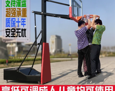 勇试移动升降篮球架成人家用室内儿童篮球架