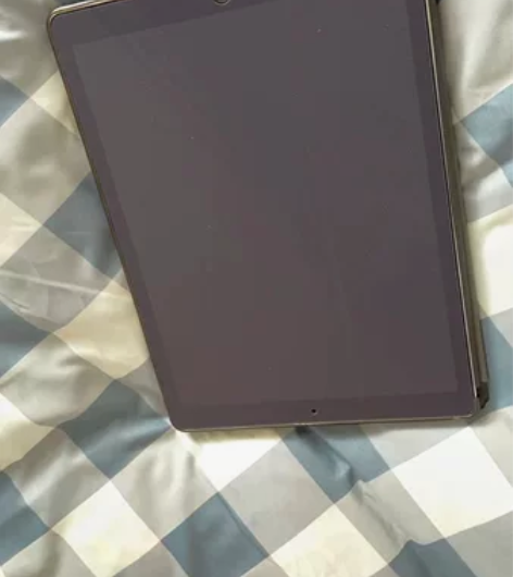 自用iPad pro12.9英寸15款,功...