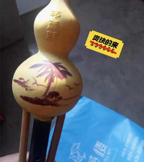 卖葫芦丝，四平车站乐器店买的，也没时间学，...