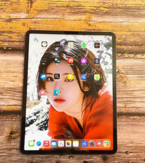 21款iPad Pro12.9寸 插卡25...