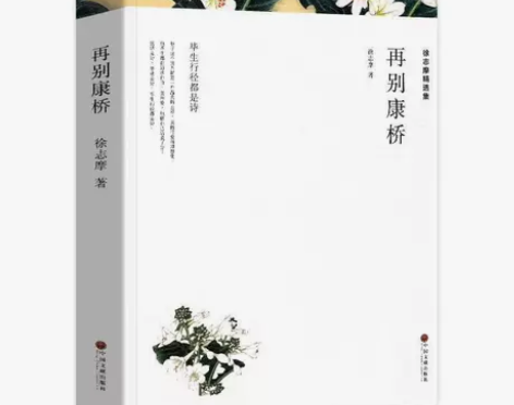 再别康桥徐志摩诗集散文集中国现当代诗歌近代...