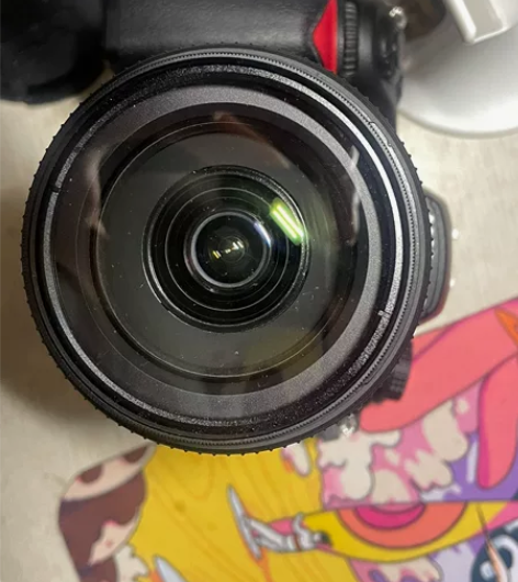出自用尼康单反相机D7000腾龙18-20...