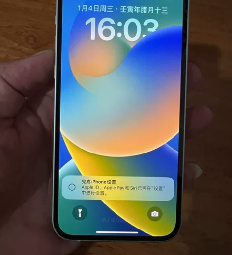 苹果12 128G绿色 国行双卡全网通,成...