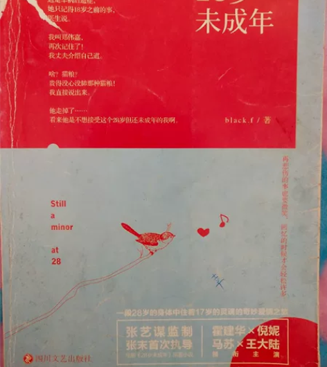 言情小说，都是我在书店里买的，想要的话可以...