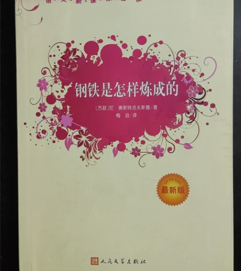 钢铁是怎样炼成的 99新几乎全新¥12
