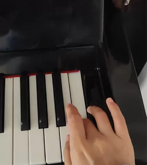 自用钢琴,音色手感都很好,具体可看另两个动...