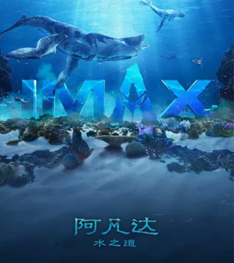 中山市范围电影票《阿凡达2·水之道》IMA...