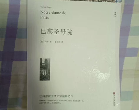 《巴黎圣母院》全译本，买后闲置没看过，除了...