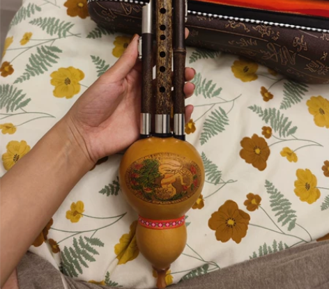 葫芦丝,全新未用 感兴趣的话点“我想要”和...