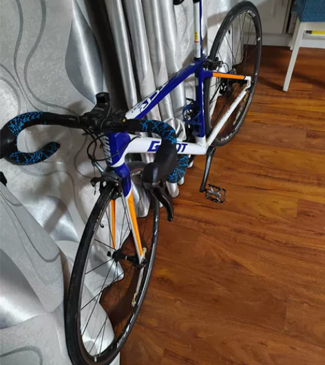 闲置捷安特公路自行车,TCR6300涂装完...