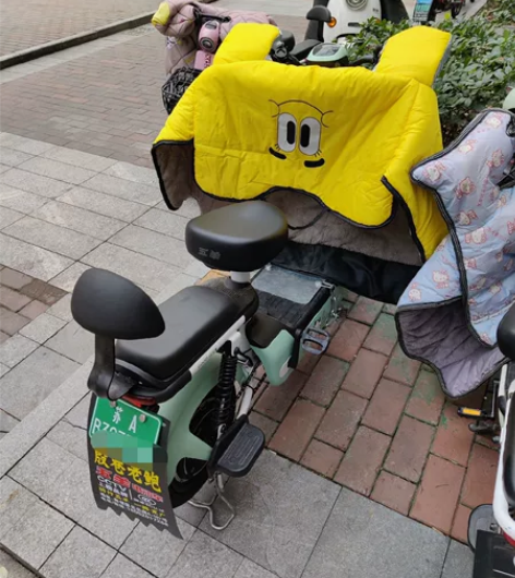 五羊电动车 22年10月买的 支持遥控启动...