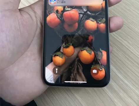 iPhoneX 256g 银色美版无锁...