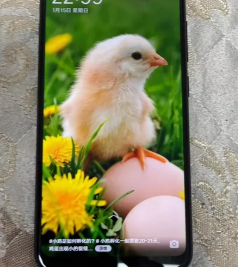 vivo U1闲置，自用3+32G，手机无...