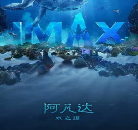 代买,一张阿凡达IMAX电影票,50一口价...