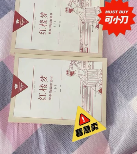 四大名著之一（红楼梦）正版整本书阅读 有轻...