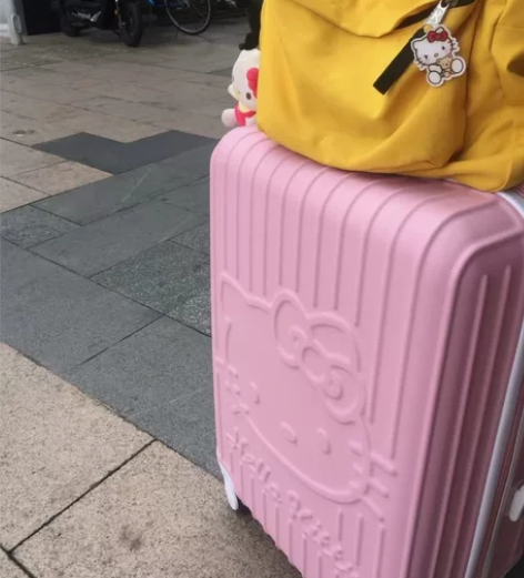 新买的HelloKitty旅行箱24寸 箱...