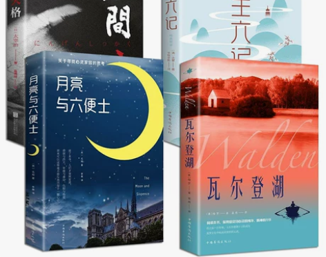 好书推荐中外文学小说书籍全套6本 做自己的...