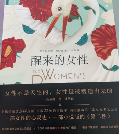 全新书籍~外国文学,女性文学~一本讲述了整...