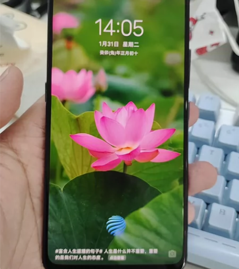 vivo NEX 8+256 顶配蓝色 所...