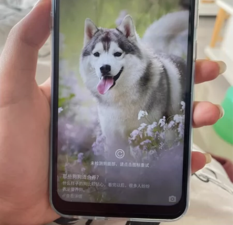 Hisense/全新原装海信手机/型号HL...