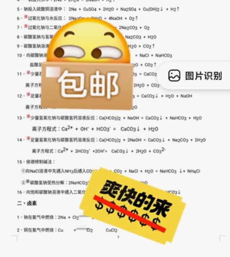 高中化学方程式总结笔记(Word文档)新高...