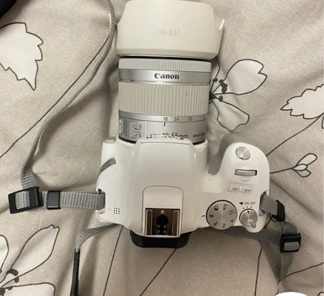 Canon/佳能 EOS 200D II ...