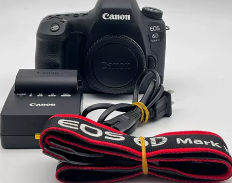 佳能 EOS 6D Mark II 正常使...