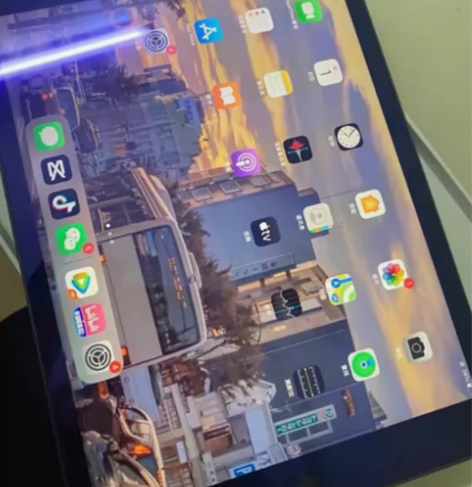 惨痛忍辱出, 苹果平板iPad2021款 ...