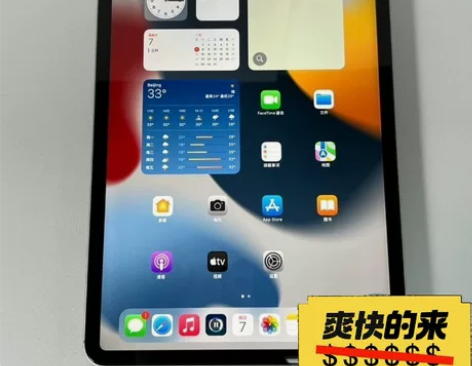 带笔一块出,孩子用的ipad 95新 12...