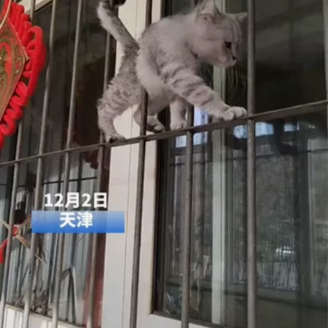 电动车转让,品牌台铃的,只支持面交,泰山路...
